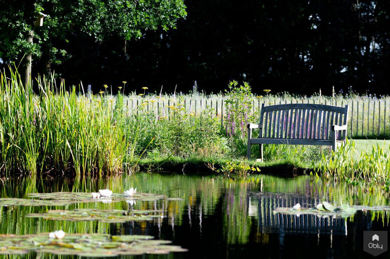Vogelvriendelijke tuin met twee vijvers-Jeroen Hamers Tuin- en Landschaparchitect-alle,Tuinen-OBLY