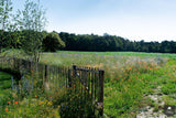 Vogelvriendelijke tuin met twee vijvers-Jeroen Hamers Tuin- en Landschaparchitect-alle,Tuinen-OBLY