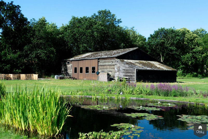 Vogelvriendelijke tuin met twee vijvers-Jeroen Hamers Tuin- en Landschaparchitect-alle,Tuinen-OBLY