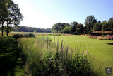 Vogelvriendelijke tuin met twee vijvers-Jeroen Hamers Tuin- en Landschaparchitect-alle,Tuinen-OBLY