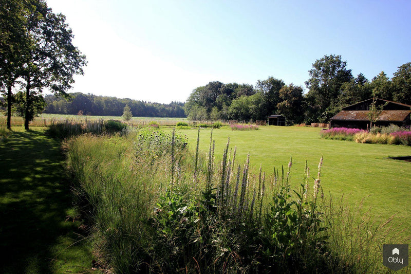 Vogelvriendelijke tuin met twee vijvers-Jeroen Hamers Tuin- en Landschaparchitect-alle,Tuinen-OBLY