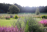 Vogelvriendelijke tuin met twee vijvers-Jeroen Hamers Tuin- en Landschaparchitect-alle,Tuinen-OBLY