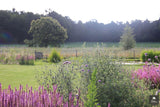 Vogelvriendelijke tuin met twee vijvers-Jeroen Hamers Tuin- en Landschaparchitect-alle,Tuinen-OBLY