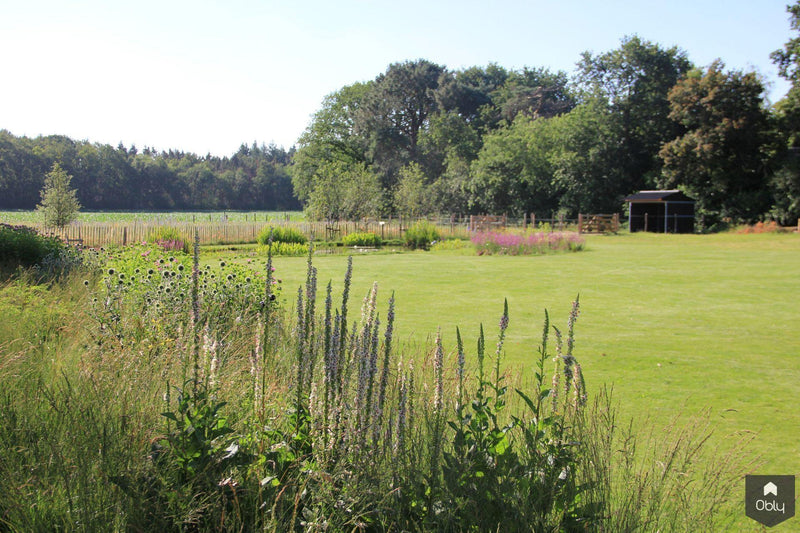 Vogelvriendelijke tuin met twee vijvers-Jeroen Hamers Tuin- en Landschaparchitect-alle,Tuinen-OBLY