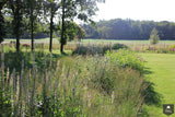 Vogelvriendelijke tuin met twee vijvers-Jeroen Hamers Tuin- en Landschaparchitect-alle,Tuinen-OBLY