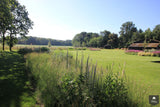 Vogelvriendelijke tuin met twee vijvers-Jeroen Hamers Tuin- en Landschaparchitect-alle,Tuinen-OBLY