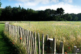 Vogelvriendelijke tuin met twee vijvers-Jeroen Hamers Tuin- en Landschaparchitect-alle,Tuinen-OBLY