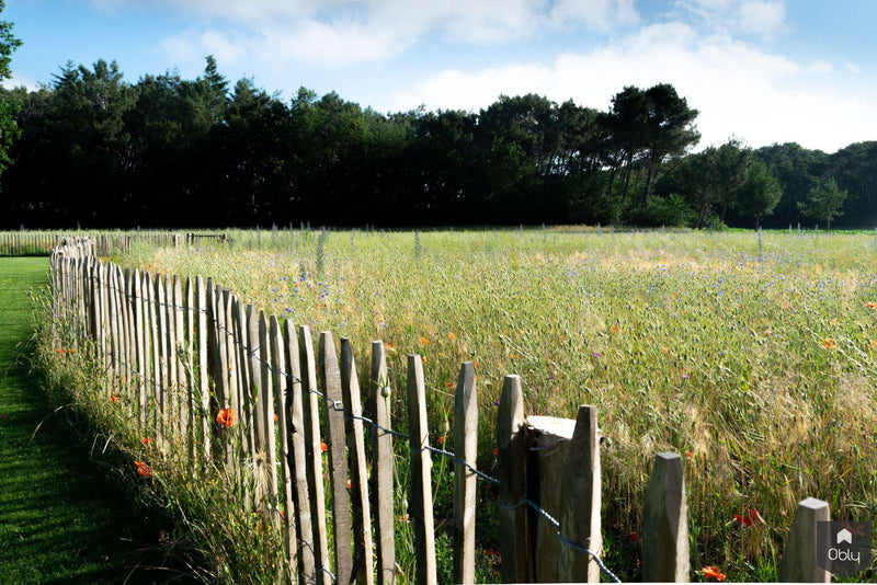 Vogelvriendelijke tuin met twee vijvers-Jeroen Hamers Tuin- en Landschaparchitect-alle,Tuinen-OBLY