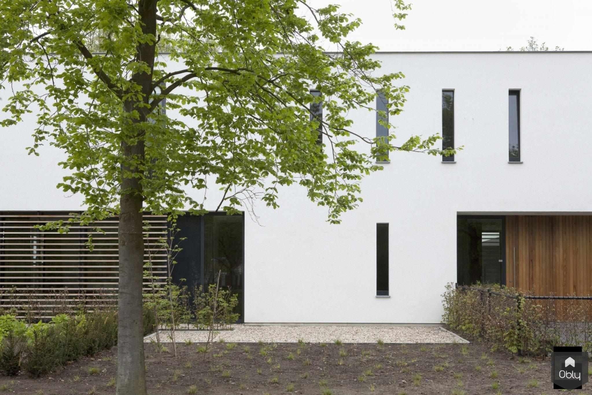 Vrijstaand woonhuis Oisterwijk-Geert van den Oetelaar | Chrissy van Onzenoord-alle,Exterieur,GroeneInpassing,HoutenAccenten,KubistischeArchitectuur,MinimalistischOntwerp,ModernWoonhuis,StrakkeLijnen,WitteGevels-OBLY
