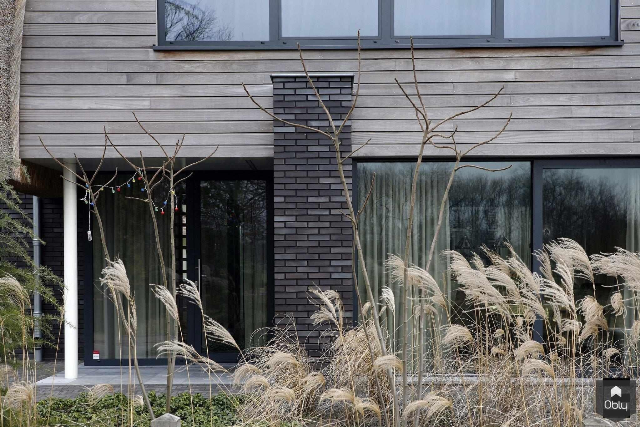 Woonhuis Berlicum-Geert van den Oetelaar | Chrissy van Onzenoord-alle,DonkereAccenten,EigentijdseArchitectuur,Exterieur,Exterieur vrijstaand,HoutenGevelbekleding,LandschappelijkeInpassing,ModernWoonhuis,NatuurlijkeMaterialen,RustigeVormgeving-OBLY
