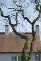 Woonhuis Rosmalen-Bedaux de Brouwer Architecten-alle,Exterieur-OBLY