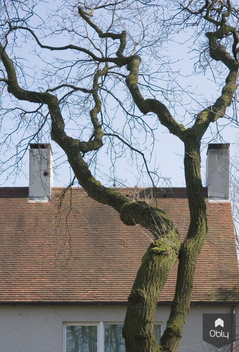 Woonhuis Rosmalen-Bedaux de Brouwer Architecten-alle,Exterieur-OBLY
