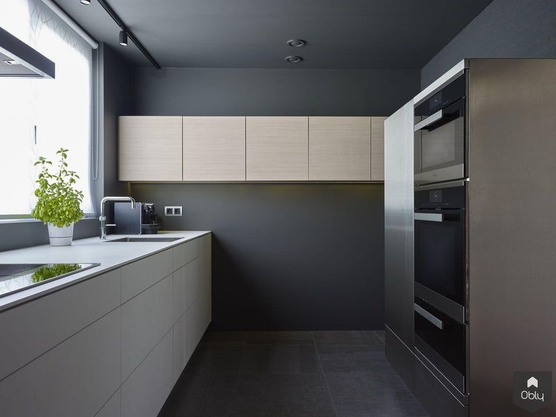 keuken donkere wanden en plafond-Doret Schulkes Interieurarchitect-alle,Keuken-OBLY