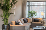 luxe interieur voor stadswoning-Choc Studio-alle,Woonkamer-OBLY