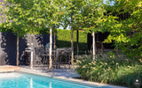 Moderne kleine tuin met zwembad-Stoop Tuinen-alle, Tuinen-OBLY