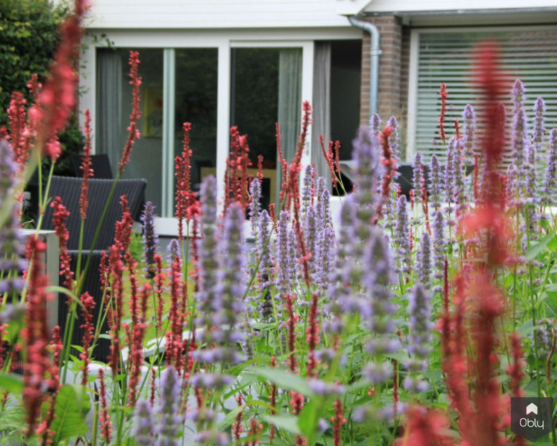 Moderne tuin met vijver-Jeroen Hamers Tuin- en Landschaparchitect-alle, Tuinen-OBLY