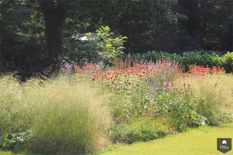 Natuurlijke tuin met vaste planten-Jeroen Hamers Tuin- en Landschaparchitect-alle, Tuinen-OBLY