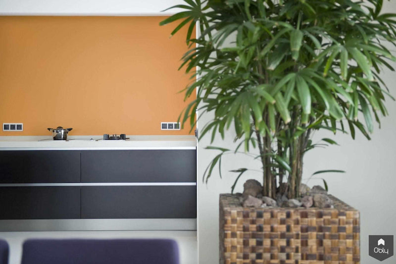 prettig loftgevoel-keuken-Doret Schulkes Interieurarchitect-alle,Keuken-OBLY