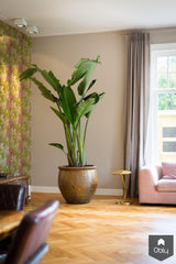 renovatie jaren '20 villa | eetkamer-Euroconstruct | Excellent in renovations-alle,Eetkamer-OBLY