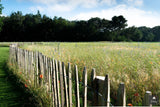 Vogelvriendelijke tuin met twee vijvers-Jeroen Hamers Tuin- en Landschaparchitect-alle, Tuinen-OBLY